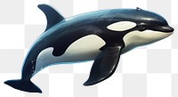 PNG Animal mammal orca fish, digital paint illustration. AI generated image
