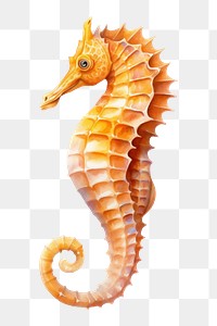 PNG Seahorse animal white background dinosaur, digital paint illustration.