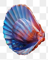 PNG Animal conch shell, digital paint illustration. 