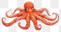 PNG Octopus animal invertebrate cephalopod, digital paint illustration.