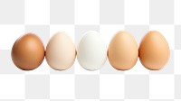 PNG Egg food white background simplicity. 