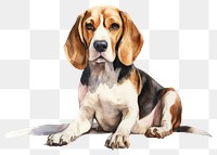 PNG Beagle animal mammal hound. 