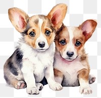 PNG Puppy mammal animal dog. AI generated Image by rawpixel.