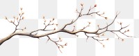 PNG Tree branch plant transparent background. 