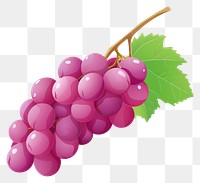 PNG Grapes fruit plant food transparent background