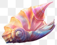 PNG Animal conch shell invertebrate transparent background