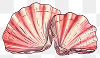 PNG Shell clam invertebrate shellfish transparent background