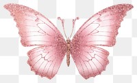 PNG Butterfly insect animal pink. 