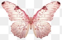 PNG Butterfly animal insect pink. .