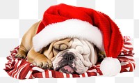 PNG Bulldog christmas sleeping mammal. AI generated Image by rawpixel.