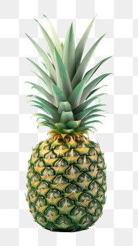 PNG Pineapple green fruit plant. AI generated Image by rawpixel.
