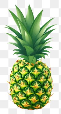 PNG Pineapple plant fruit green. AI generated Image by rawpixel.