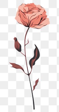 PNG Drawing flower rose sketch. AI generated Image by rawpixel.