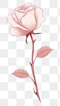 PNG Drawing flower rose sketch. 