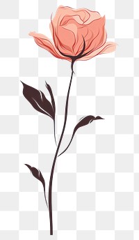 PNG Drawing flower rose sketch. 