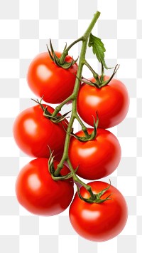 PNG Tomato vegetable fruit plant. 