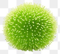 PNG Sphere green plant  