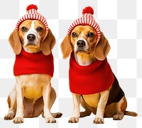 PNG Beagle dog christmas mammal transparent background