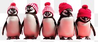 PNG Penguin animal bird pink transparent background