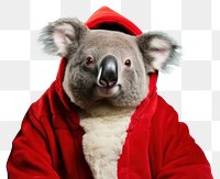 PNG Koala christmas portrait costume transparent background