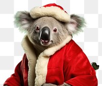 PNG Koala bear christmas portrait transparent background