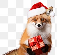 PNG Fox christmas portrait mammal transparent background