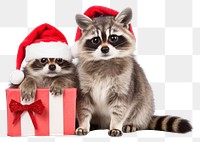 PNG Raccoon christmas portrait mammal transparent background