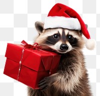 PNG Raccoon christmas portrait mammal transparent background