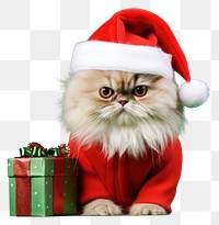 PNG Christmas portrait mammal animal transparent background