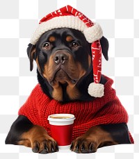 PNG Portrait cup rottweiler christmas transparent background