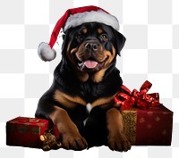 PNG Gift rottweiler christmas portrait transparent background