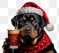 PNG Rottweiler christmas portrait mammal transparent background