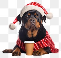 PNG Rottweiler christmas portrait mammal transparent background