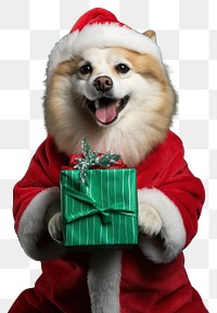 PNG Dog christmas portrait mammal transparent background