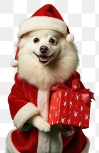 PNG Dog christmas portrait mammal transparent background