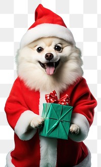 PNG Dog christmas portrait mammal transparent background