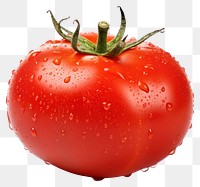 PNG Tomato vegetable fruit plant. AI generated Image by rawpixel.