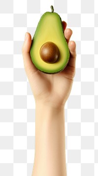 PNG Avocado fruit adult plant. AI generated Image by rawpixel.