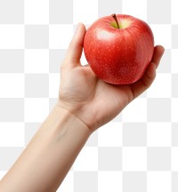 PNG Apple holding fruit plant. 