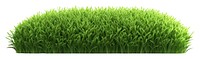 PNG Lawn grass plant green. AI generated Image by rawpixel.