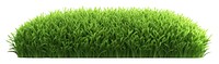 PNG Lawn grass plant green. 