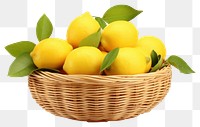 PNG Basket fruit lemon plant. 