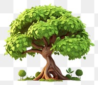PNG Tree bonsai plant green. AI generated Image by rawpixel.