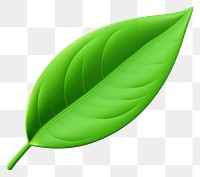 PNG Leaf plant green white background. AI generated Image by rawpixel.