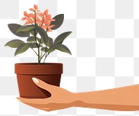 PNG Plant holding flower hand. AI generated Image by rawpixel.