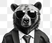 PNG Sunglasses mammal bear accessories