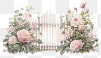 PNG Fence rose flower plant transparent background