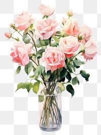 PNG Rose vase flower plant transparent background