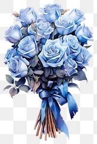 PNG Rose flower plant blue transparent background