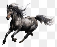 PNG Horse stallion animal mammal transparent background